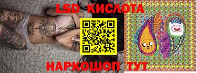 бошки Кимры