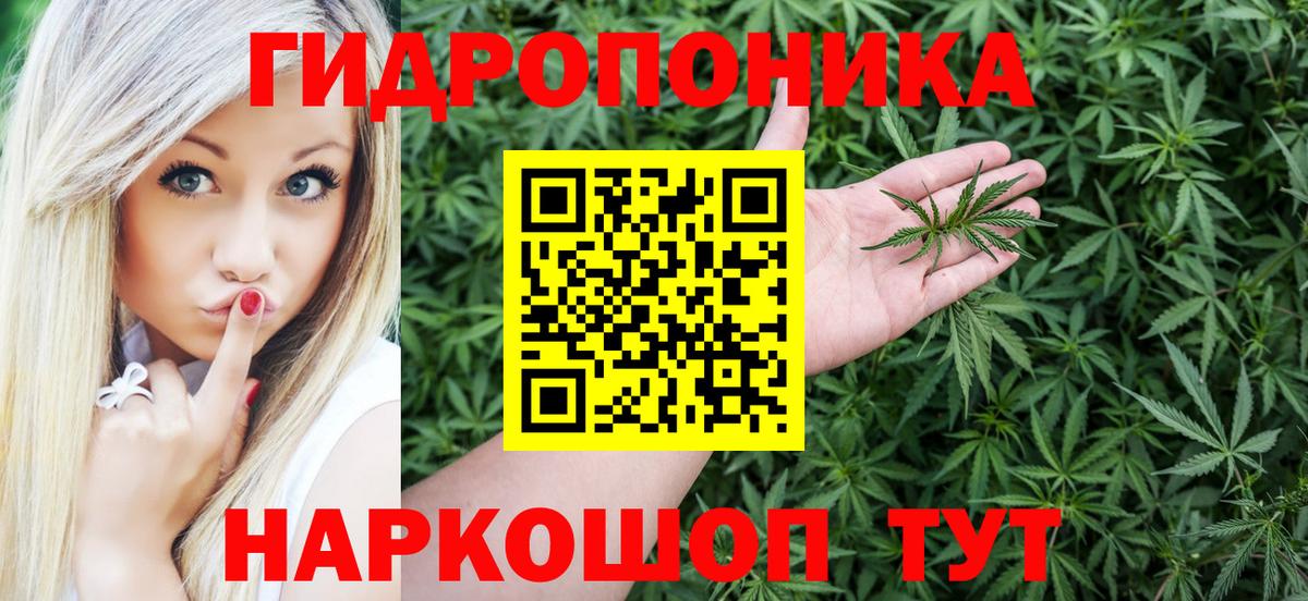 Бошки марихуана OG Kush Карпинск